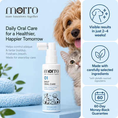 Morro Oral Care 01