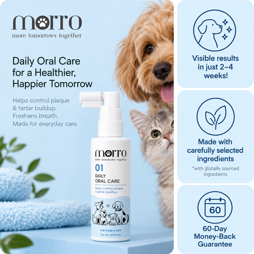 Morro Oral Care 01