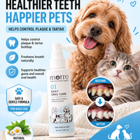 Morro Oral Care 01