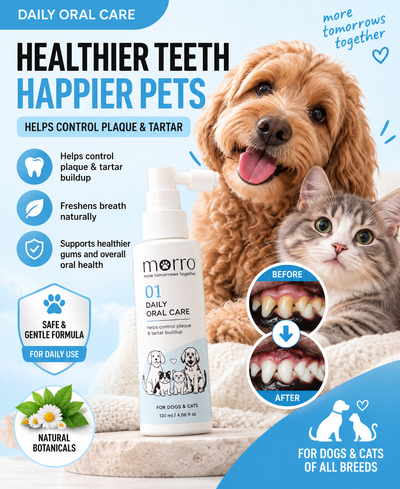 Morro Oral Care 01