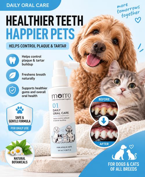 Morro Oral Care 01